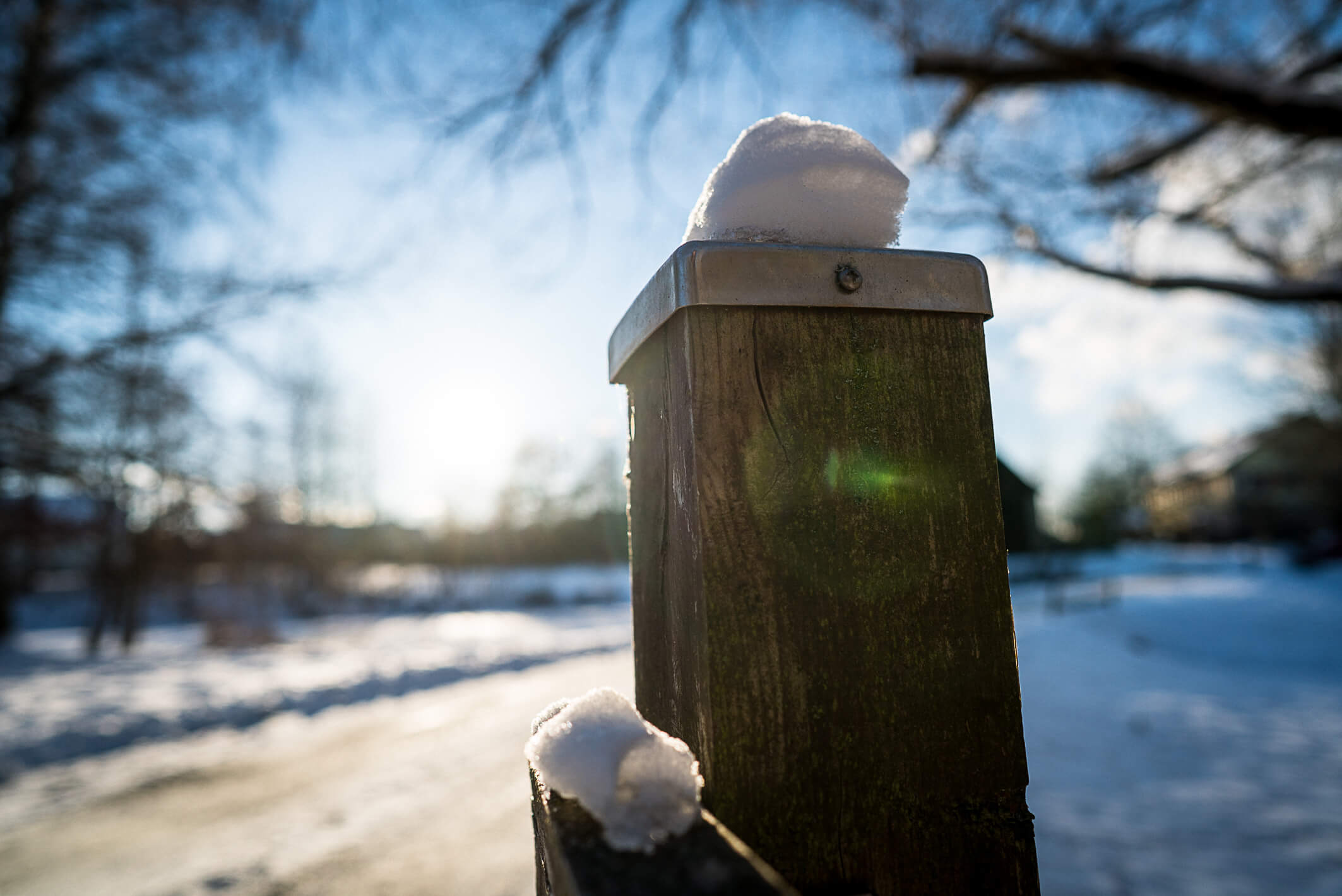 wah-winter8