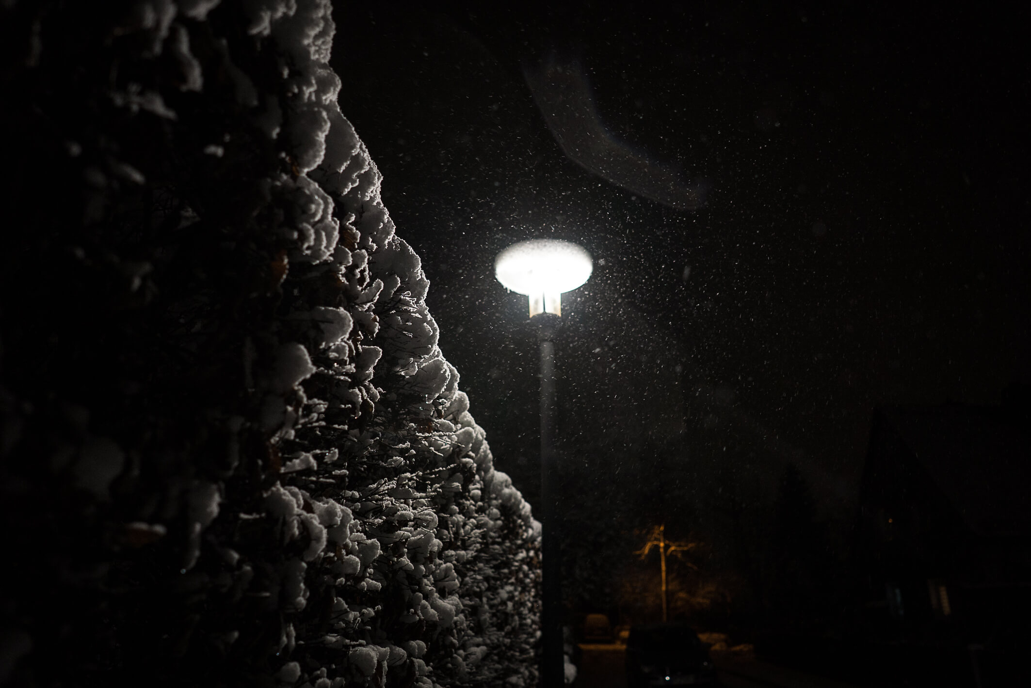 wah-winterland