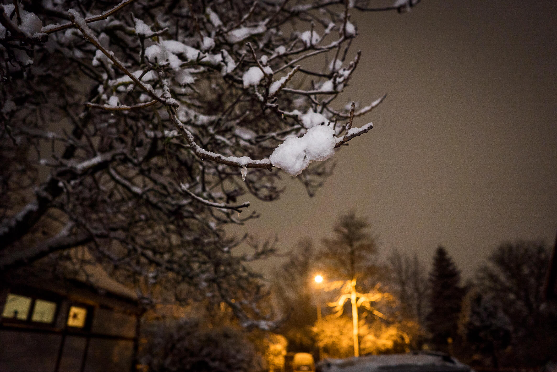 wah-winterland2