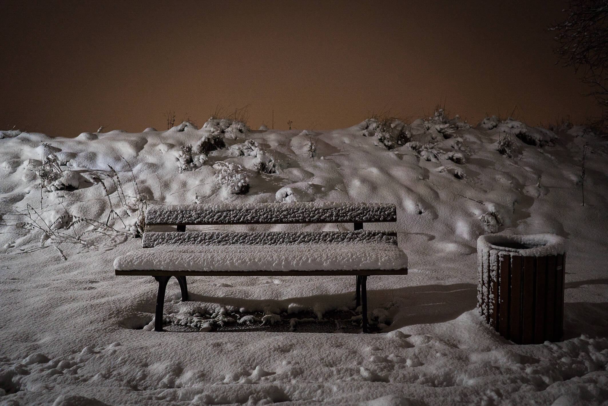 wah-winterland7
