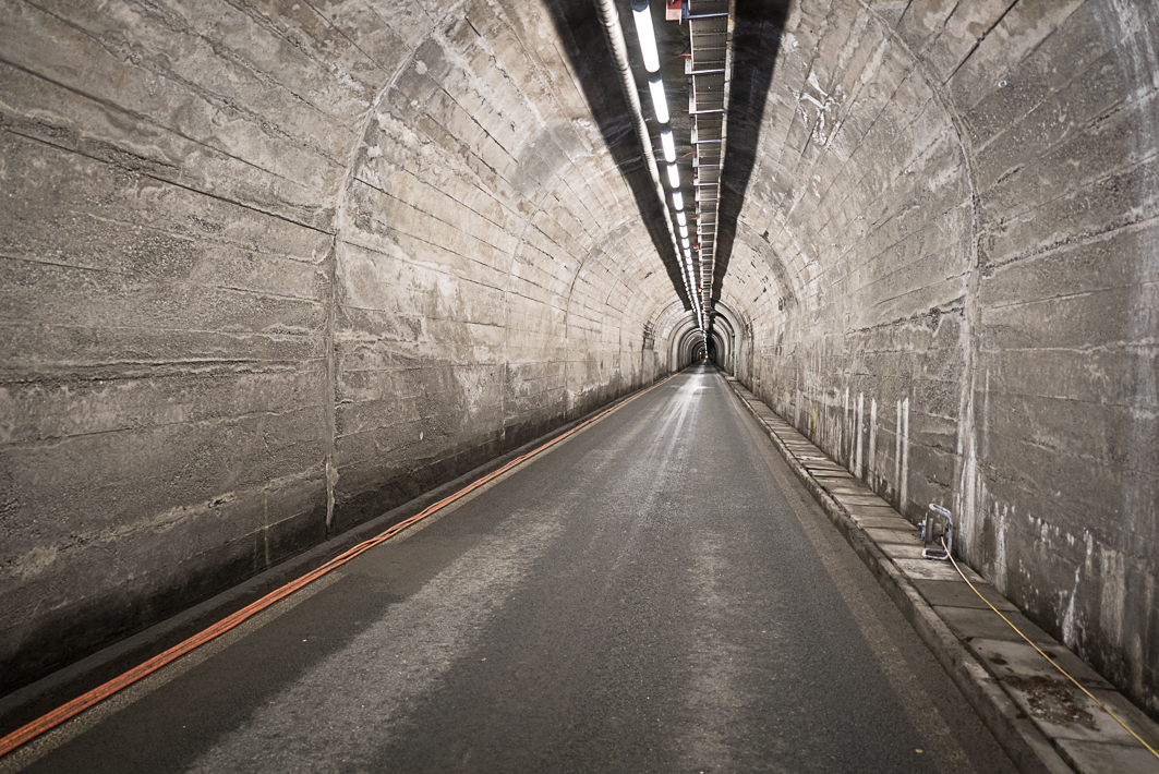 wah-gavia34