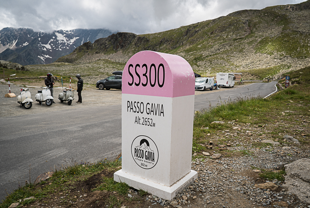 wah-gavia65