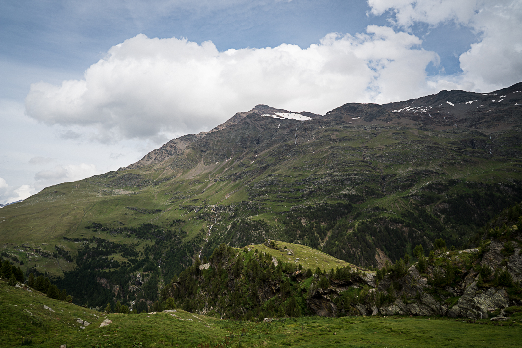 wah-gavia71