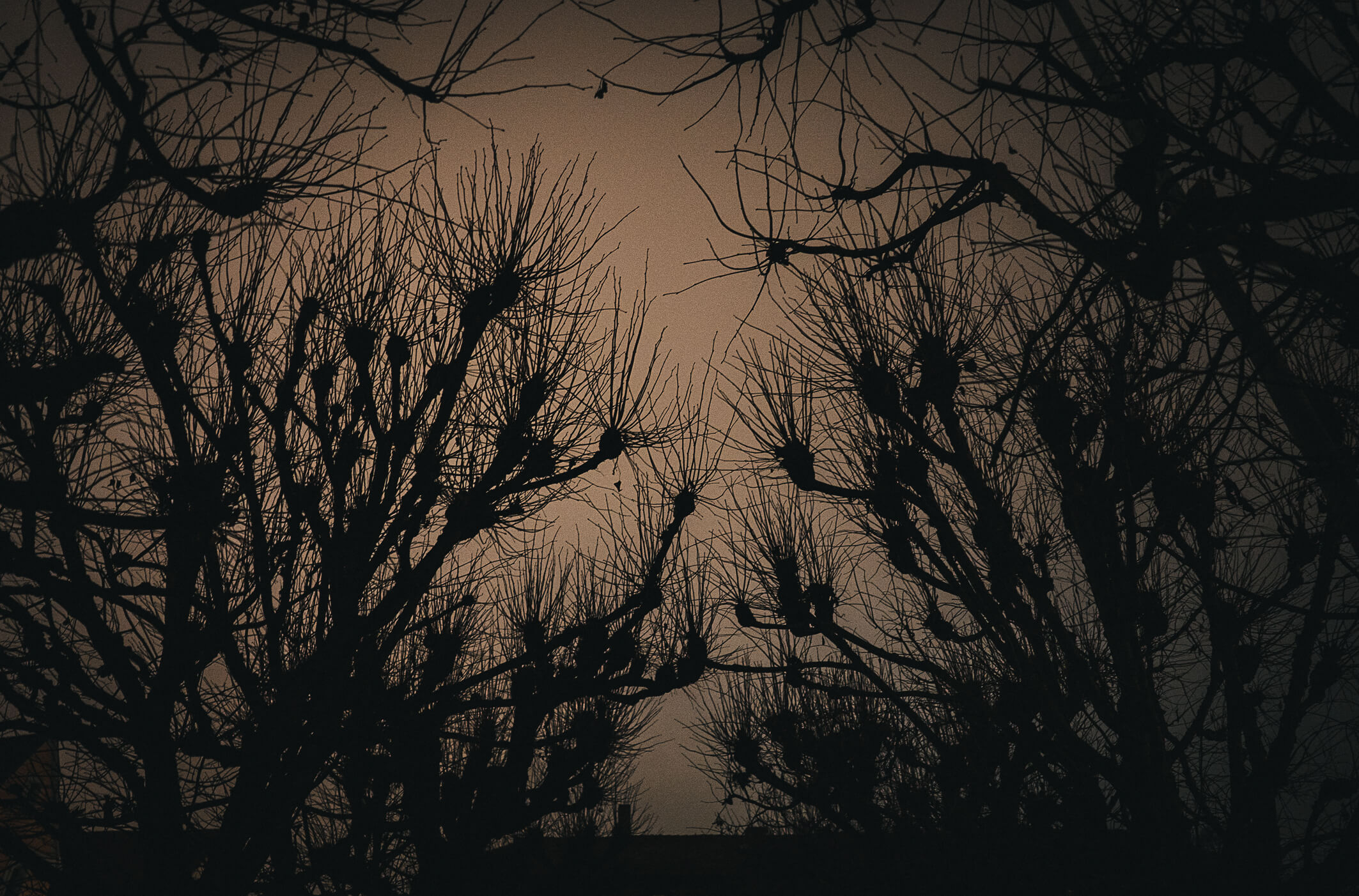 wah-abendstimmung6